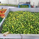 보배유통 이미지