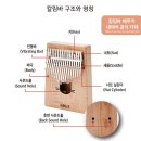 칼림바 이미지