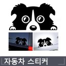 프리티 도그 이미지