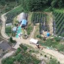 합수농장 이미지