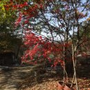 신촌마을회관 이미지