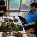 샤론의정원 Daum카페