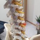 경희판교부부한의원 이미지