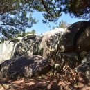 비봉산 정상부 이미지