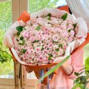 사파동200 이미지