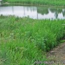 고양누리길 11코스 송강누리길 이미지