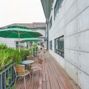 달마당쭈꾸미 이미지