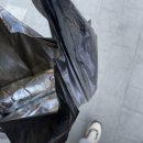 오렌지김밥 이미지