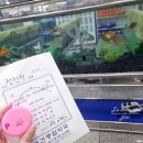 대건종합약국 이미지