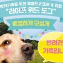 오픈위드 네이버블로그