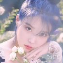 여름 쿨톤 염색 추천 1위! 애쉬블루 염색 리얼 후기+탈색 꿀팁 모음