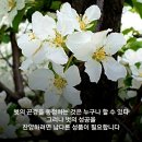 아름다운오늘 - 담양군 천변1길 10 | 아름다운오늘