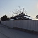 김성철 농장 네이버블로그
