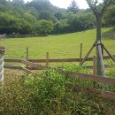 홍천목장 이미지