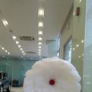 조이공방국악기