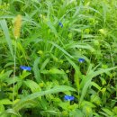 서부동공원 이미지