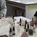 변동초교병설 이미지