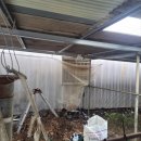 고성염소농장 이미지