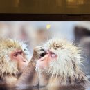 과천대로5길 이미지