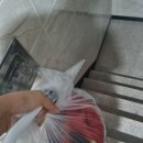 광운빨래방 | [일상] 광운대역 코인세탁방 후기 - 비오는 날은 역시 건조기.