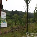 세자트라(방문자센터) 이미지