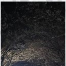 천마 태권도장 이미지