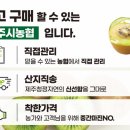 제주한라유통 이미지