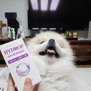 호흡기L층 화장실-2 | 고양이 강아지 호흡기질환 뉴트리션트리 하이드롭 브레스 솔직 후기