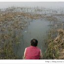 안석낚시터 이미지