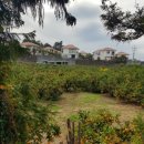 지오공인중개사사무소 이미지