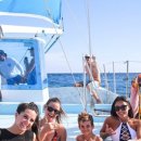 하와이야시장 이미지