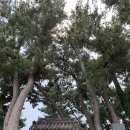 UR(상주시)-[사벌로]-하-4 | 3박 4일 경상북도 상주, 포항, 경주 여행기 프롤로그 (상주여행, 경주여행, 포항여행, 상주가볼만한곳...