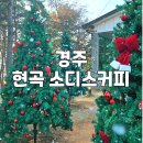 경주 크리스마스 트리 카페, 눈내리는 현곡 소디스커피