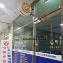 미르국제여행사 이미지