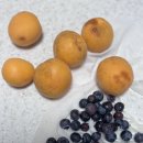 동뜰정원 이미지