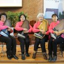 모동모동 이미지