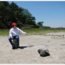 소쿠리섬1 이미지