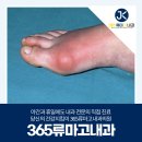 365류마고내과의원 네이버블로그