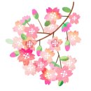 부일환경 이미지