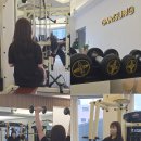 감성 피티 | 부산 동래 헬스장 초보 피티가 처음이라면 추천하는 감성피티 동래점