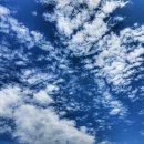 라온제나 1박2일펜션 이미지