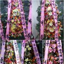 센스 PC방 이미지