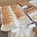 발라바게트