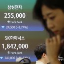 왝더독