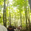 조강농장 이미지