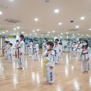 용인대 다한 태권도장 이미지