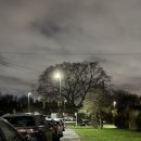 훈련장 | 🔴⚫️ 맨체스터 유나이티드 캐링턴 훈련장 방문 후기