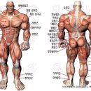 코어한의원 이미지