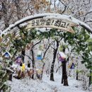 글로벌어린이집 이미지