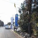 강정씨빌리지 이미지